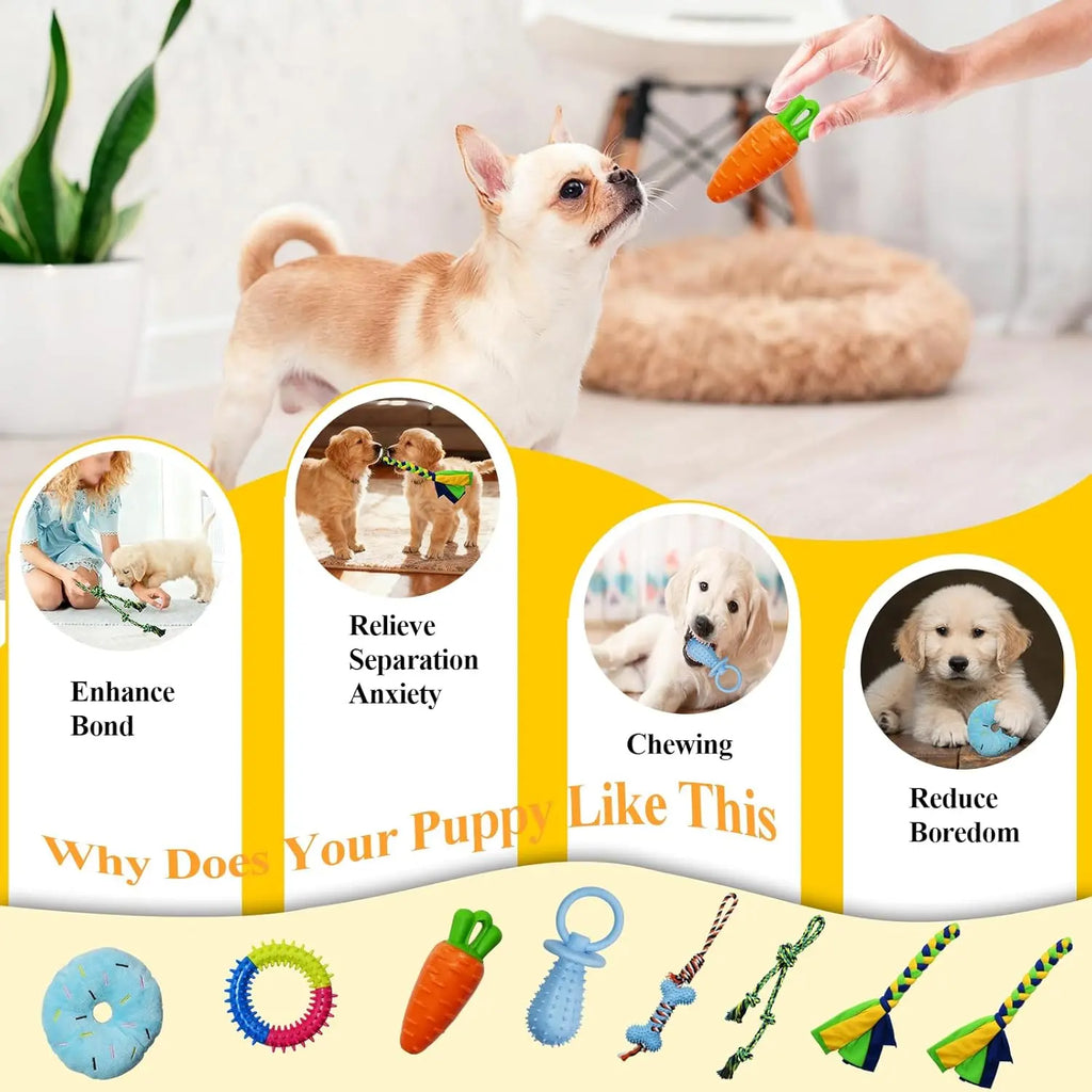 Interactive Puppy Play Gym with 8 Assorted Hanging Toys, Enrichment Activity Center for Small Dogs, Indoor PVC Frame with Adjustable Height, Squeaky, Teething, and Chew Toys, Easy-to-Remove Design